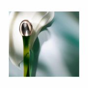 La Mer The Eye Concentrate 15ml – Luxury Eye Cream for Dark Circles and Fine Lines