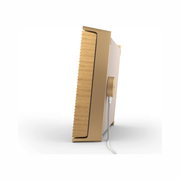 Bang & Olufsen Beosound Level – Portable Wi-Fi Multiroom Speaker with Adaptive Sound and 16-Hour Battery, Gold Tone & Light Oak