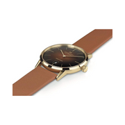 Hamilton American Classic Intra-Matic Automatic Watch – Swiss Made, 38mm Yellow PVD Stainless Steel Case, Brown Dial, Brown Leather Strap