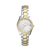 Fossil Women’s Scarlette Mini Quartz Two-Tone Stainless Steel Watch