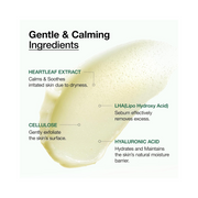 Anua Heartleaf LHA Moisture Peeling Gel – Gentle Exfoliating Facial Peel with LHA, Heartleaf Extract & Cellulose for Hydration and Pore Care (120ml / 4.05 fl.oz)