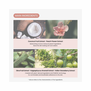 TIRTIR Mask Fit Tone Up Essence – Tinted Moisturizer & All-in-One Base | Deep Hydration, Lightweight Formula for Natural Glass Skin Glow | Long-Lasting Radiance, 1.01 fl. oz (Beige)