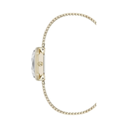 Anne Klein Women’s Mesh Bracelet Watch – Champagne/Gold