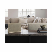 Bang & Olufsen Beosound Level – Portable Wi-Fi Multiroom Speaker with Adaptive Sound and 16-Hour Battery, Gold Tone & Light Oak