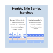 LANEIGE Water Bank Blue Hyaluronic Intensive Moisturizer – Ultra Hydrating Face Cream for Extra Dry Skin with Squalane & Peptide