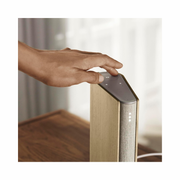 Bang & Olufsen Beosound Emerge – Bookshelf Wi-Fi Speaker, Gold Tone/Light Oak, 25W