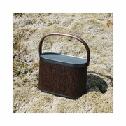 Bang & Olufsen Beosound A5 Portable Bluetooth & Wi-Fi Speaker – 360° Sound, 12-Hour Battery, Dark Oak