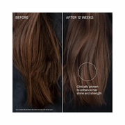 Augustinus Bader The Conditioner – Luxury Nourishing & Repairing Hair Conditioner with TFC8® – Smooths, Strengthens & Hydrates for Fuller, Shinier Hair