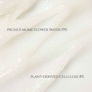 Beauty of Joseon Exfoliating Duo – Apricot Blossom Peeling Gel + Glow Serum with Niacinamide & BHA