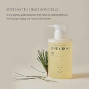 Beauty of Joseon Pine Grove Body Wash – Moisturizing Gel Cleanser with Pine Complex 10%, Soothing & Hydrating Korean Body Care, 400ml (13.5 fl.oz)