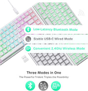 RK ROYAL KLUDGE RK84 Wireless RGB 75% Triple Mode BT5.0/2.4G/USB-C Hot Swappable Mechanical Keyboard, 84 Keys Wireless Gaming Keyboard w/High-Capacity Battery, Tactile Brown Switch