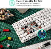 RK ROYAL KLUDGE RK84 Wireless RGB 75% Triple Mode BT5.0/2.4G/USB-C Hot Swappable Mechanical Keyboard, 84 Keys Wireless Gaming Keyboard w/High-Capacity Battery, Tactile Brown Switch
