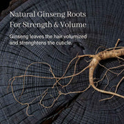 ARENCIA Night Shadow Biotin Shampoo Bar – Hair Regrowth & Gray Hair Care for Oily to Normal Hair | Vegan & Sulfate-Free