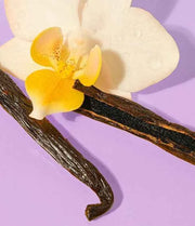 eos Vanilla Bean Lip Balm – 100% Organic Shea Butter Moisture for Soft, Smooth Lips