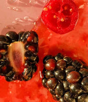 eos Cranberry Joy & Merry Berry Lip Balm 2-Pack – Hydrating Natural Shea Butter Lip Care