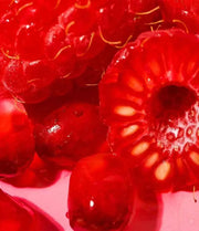 eos Pomegranate Raspberry Travel Shave Cream – Hydrating Shave Lotion for Smooth, Sensitive Skin