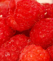 eos Razzle Dazzle Lip Balm Variety Pack – Berry-Flavored Hydration, 4-Pack